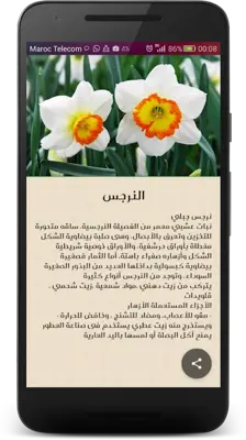 صيدلية الأعشاب الشاملة android App screenshot 2